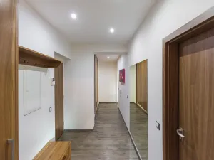 Prodej bytu 2+kk, Plzeň, U Velkého rybníka, 81 m2
