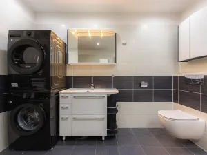 Prodej bytu 2+kk, Plzeň, U Velkého rybníka, 81 m2