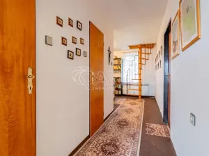 Prodej rodinného domu, Bukovany, 279 m2