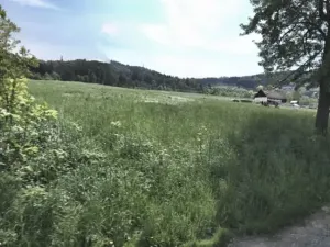 Prodej zahrady, Děčín, 10314 m2