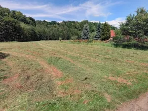 Prodej pozemku pro bydlení, Chotěvice, 4127 m2