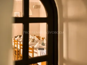Prodej činžovního domu, Lhenice, Krumlovská, 535 m2