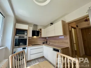 Pronájem bytu 1+1, Plzeň - Jižní Předměstí, Raisova, 30 m2