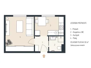 Pronájem bytu 1+1, Plzeň - Jižní Předměstí, Raisova, 30 m2