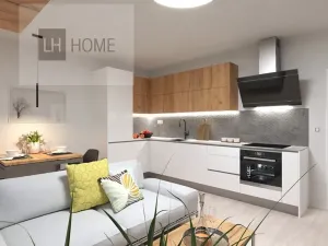 Prodej bytu 2+kk, České Budějovice, Branišovská, 49 m2