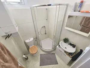 Pronájem bytu 1+1, Praha - Vinohrady, Mánesova, 40 m2