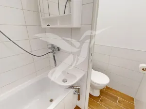 Pronájem bytu 1+1, Plzeň, Gerská, 39 m2