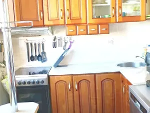Prodej bytu 3+1, Vrbno pod Pradědem, 70 m2