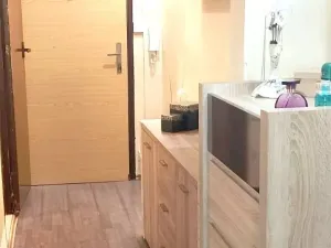 Prodej bytu 3+1, Vrbno pod Pradědem, 79 m2