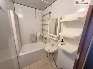Prodej bytu 1+1, Roudnice nad Labem, Alej 17. listopadu, 27 m2