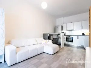 Pronájem bytu 2+kk, Praha - Vršovice, Oblouková, 40 m2