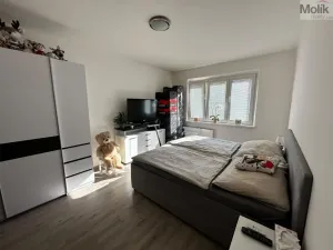 Prodej bytu 2+1, Most, Zdeňka Fibicha, 56 m2