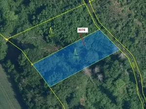 Dražba lesa, Benešov u Semil, 1110 m2