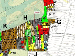 Dražba lesa, Hosty, 1729 m2