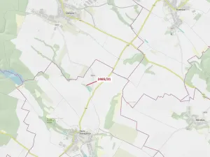 Dražba lesa, Horní Dunajovice, 263 m2