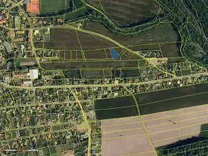 Dražba pole, Staré Město, 1127 m2