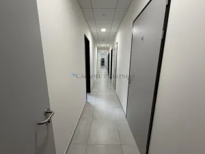Pronájem skladu, Ostrava - Poruba, 17. listopadu, 2624 m2
