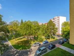 Pronájem bytu 2+1, Cheb, Matěje Kopeckého, 56 m2