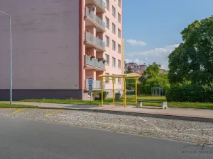 Pronájem bytu 2+1, Cheb, Matěje Kopeckého, 56 m2