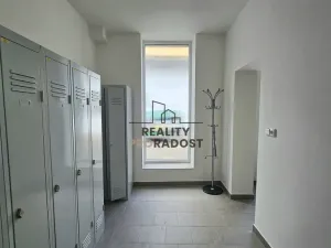 Pronájem komerční nemovitosti, Hodonín, Kolískova, 33 m2