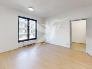 Pronájem bytu 1+kk, Plzeň, Železná, 30 m2