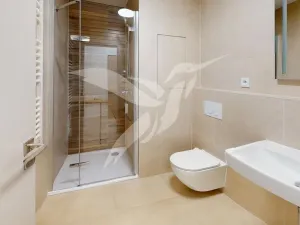 Pronájem bytu 1+kk, Plzeň, Železná, 30 m2