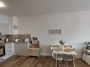 Pronájem bytu 2+kk, Olomouc, Aloise Rašína, 68 m2