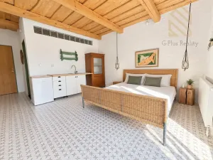 Pronájem bytu 1+kk, Černiv, 28 m2