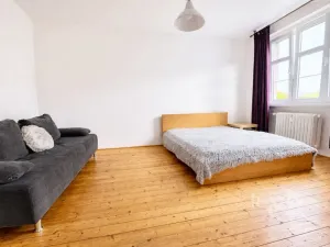 Prodej bytu 1+1, Ústí nad Labem - Klíše, Palachova, 47 m2