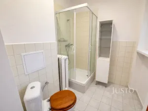 Prodej bytu 1+1, Ústí nad Labem - Klíše, Palachova, 47 m2