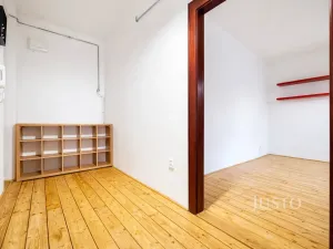 Prodej bytu 1+1, Ústí nad Labem - Klíše, Palachova, 47 m2