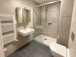 Pronájem bytu 1+kk, Praha - Radlice, Na Farkáně I, 28 m2