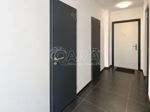 Pronájem bytu 1+kk, Praha - Radlice, Na Farkáně I, 28 m2