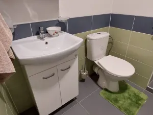 Pronájem bytu 1+kk, Ústí nad Labem, Neštěmická, 31 m2