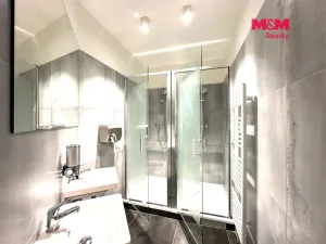 Pronájem obchodního prostoru, Praha - Smíchov, Kobrova, 276 m2