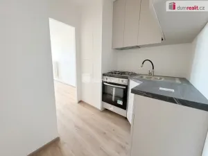 Prodej bytu 2+1, Praha - Chodov, V jezírkách, 42 m2