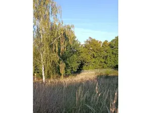 Prodej pozemku pro bydlení, Černošice, 1014 m2