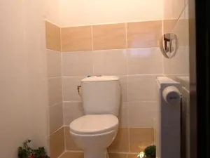 Pronájem bytu 2+1, České Budějovice - České Budějovice 3, Lipenská, 38 m2