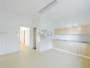 Prodej rodinného domu, Velká Polom, Sadová, 420 m2