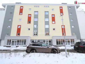Pronájem bytu 2+kk, Nová Role, Svobodova, 39 m2