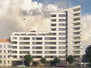 Prodej obchodního prostoru, Brno, 236 m2