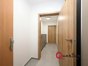 Pronájem bytu 1+kk, Praha - Braník, Údolní, 27 m2