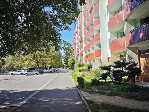 Prodej bytu 2+1, Brno, Nezvalova, 53 m2