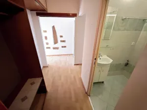 Prodej bytu 2+1, Brno, Nezvalova, 53 m2