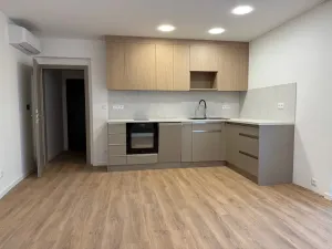Pronájem bytu 1+kk, Ústí nad Labem, Bělehradská, 33 m2