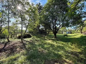Prodej zahrady, Brno, 642 m2