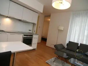 Pronájem bytu 2+kk, Praha - Žižkov, Pitterova, 70 m2