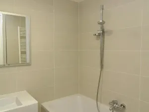 Pronájem bytu 2+kk, Praha - Žižkov, Pitterova, 70 m2