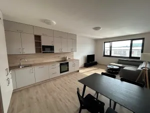 Pronájem bytu 4+kk, Písek, Pražská, 95 m2