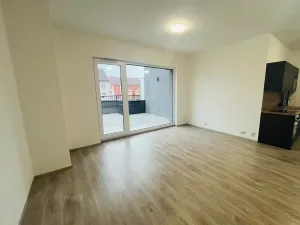 Pronájem bytu 1+kk, Lovosice, Zámecká, 60 m2